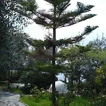 Efelli:boutique Beachfront Traditional Greek Style House Villa Vrachos